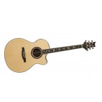 PRS SE STANDARD ACOUSTIC ELECTRIC GUITAR